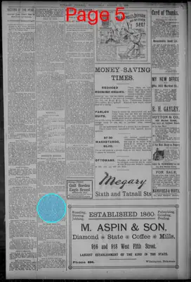 Page thumbnail for Evening Journal