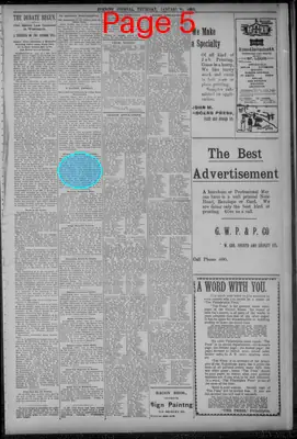 Page thumbnail for Evening Journal