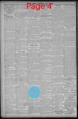 Page thumbnail for Evening Journal