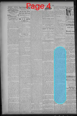 Page thumbnail for Evening Journal