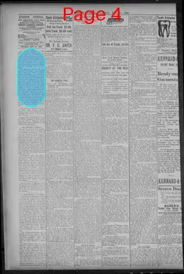Page thumbnail for Evening Journal