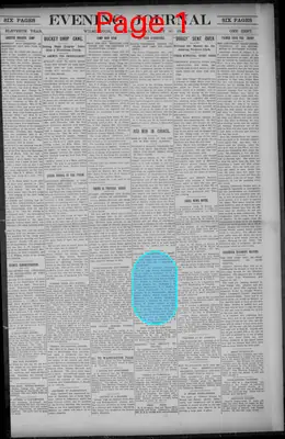 Page thumbnail for Evening Journal