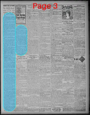 Page thumbnail for Evening Journal
