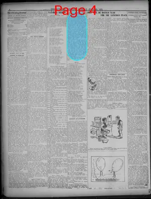 Page thumbnail for Evening Journal