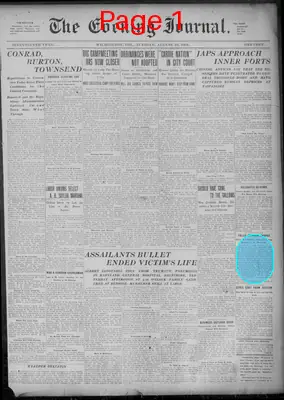 Page thumbnail for Evening Journal