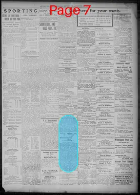 Page thumbnail for Evening Journal