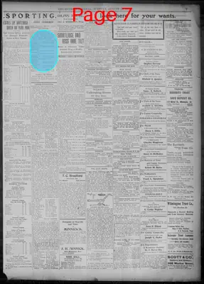 Page thumbnail for Evening Journal