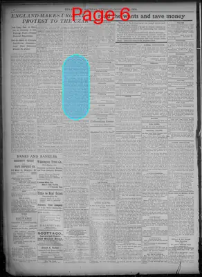 Page thumbnail for Evening Journal
