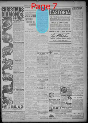 Page thumbnail for Evening Journal