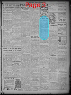 Page thumbnail for Evening Journal