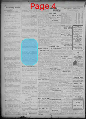 Page thumbnail for Evening Journal