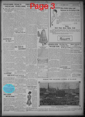 Page thumbnail for Evening Journal