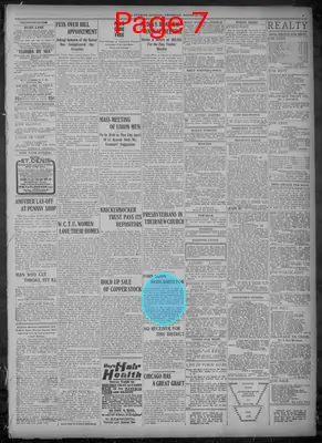 Page thumbnail for Evening Journal