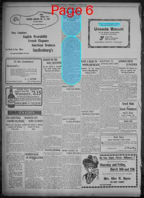 Page thumbnail for Evening Journal