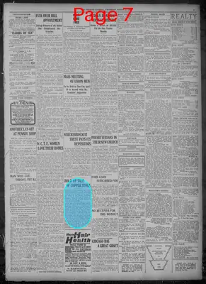 Page thumbnail for Evening Journal