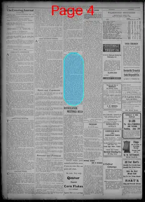 Page thumbnail for Evening Journal