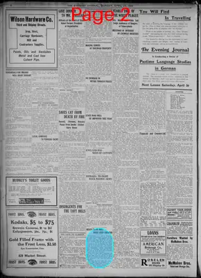 Page thumbnail for Evening Journal