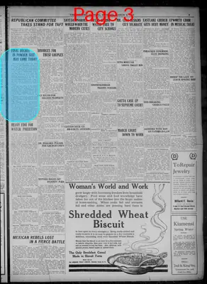 Page thumbnail for Evening Journal