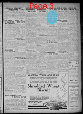 Page thumbnail for Evening Journal