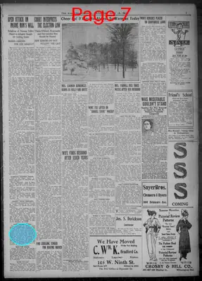 Page thumbnail for Evening Journal
