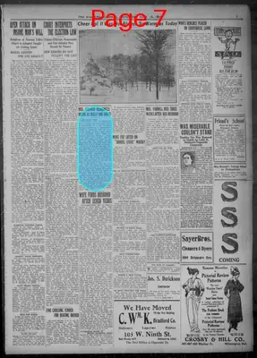 Page thumbnail for Evening Journal