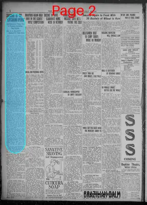 Page thumbnail for Evening Journal