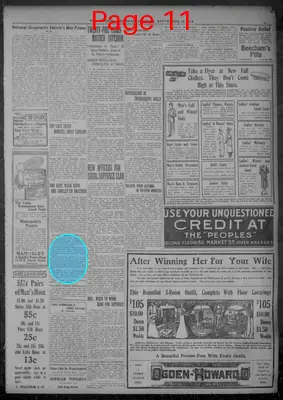 Page thumbnail for Evening Journal