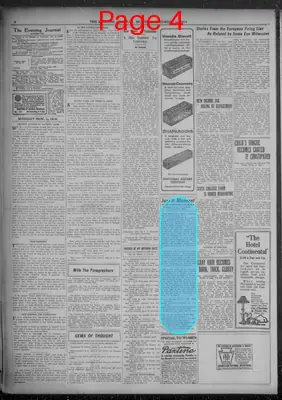 Page thumbnail for Evening Journal