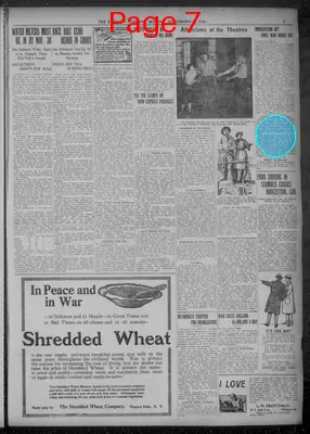 Page thumbnail for Evening Journal