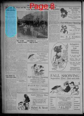Page thumbnail for Evening Journal