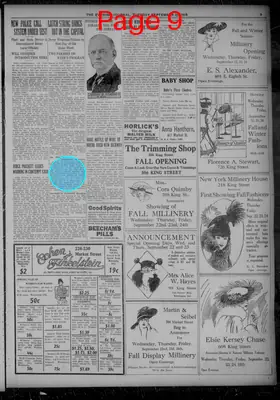 Page thumbnail for Evening Journal