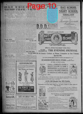 Page thumbnail for Evening Journal