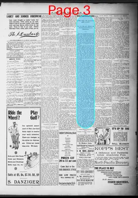 Page thumbnail for The Morning Astorian