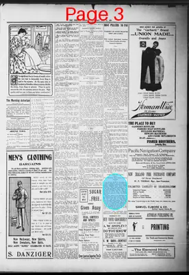 Page thumbnail for The Morning Astorian