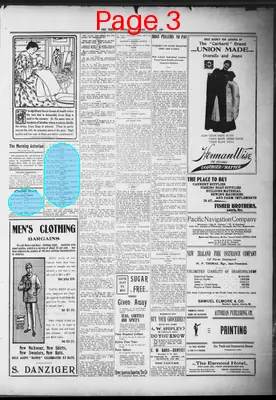 Page thumbnail for The Morning Astorian