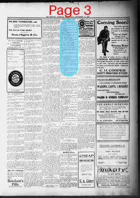 Page thumbnail for The Morning Astorian