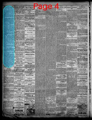 Page thumbnail for Daily Los Angeles Herald