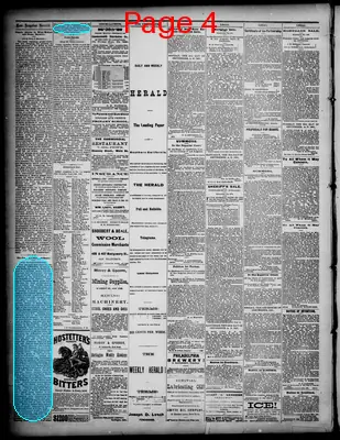 Page thumbnail for Daily Los Angeles Herald