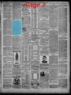 Page thumbnail for The Herald