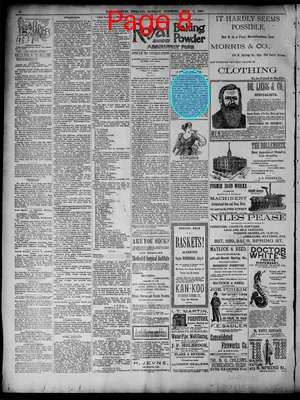 Page thumbnail for The Herald