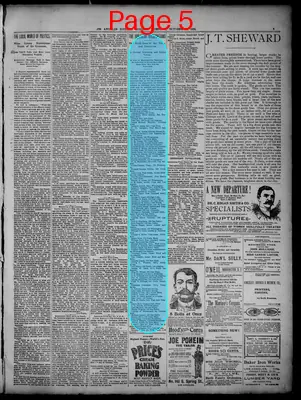 Page thumbnail for The Herald