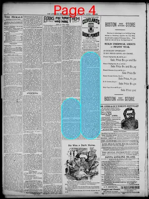Page thumbnail for The Herald
