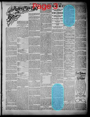Page thumbnail for The Herald