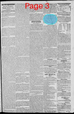 Page thumbnail for The Wilmingtonian, And Delaware Advertiser