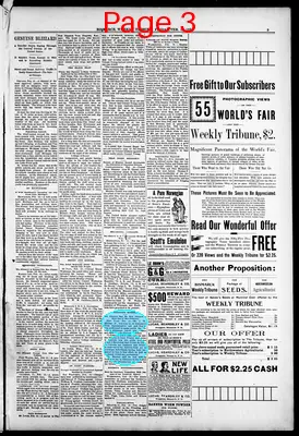 Page thumbnail for Bismarck Weekly Tribune
