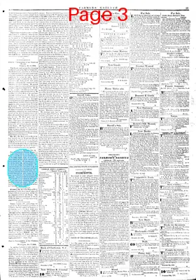 Page thumbnail for Farmers' Gazette, And Cheraw Advertiser
