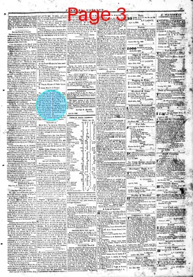 Page thumbnail for Farmers' Gazette, And Cheraw Advertiser