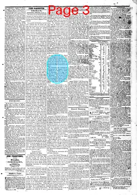 Page thumbnail for Farmers' Gazette, And Cheraw Advertiser