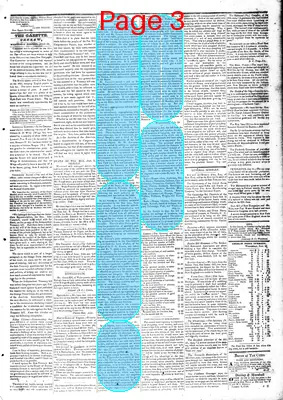 Page thumbnail for Farmers' Gazette, And Cheraw Advertiser