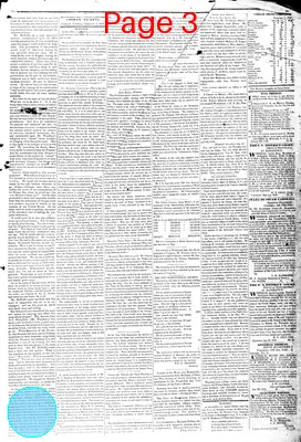 Page thumbnail for Farmers' Gazette, And Cheraw Advertiser